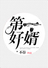 第一骜婿 小说