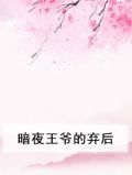 暗夜帝王的绝宠小妻全文免费阅读
