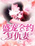 盛宠契约情人完整版