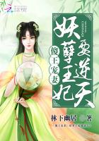 傻王宠妻妖孽王妃要逆天