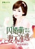 闪婚倾情:席少的二货甜妻